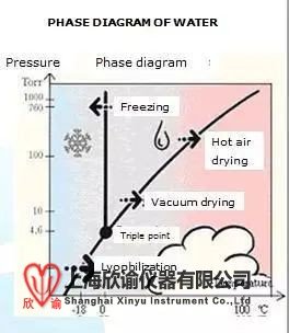 一个好的冻干成品需要配注意崩解温度和加热速率