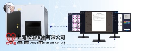 160染色体 (3).jpg
